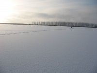 04.jpg