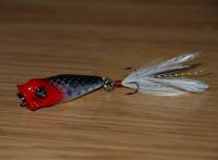 DSC_0122.JPG