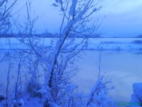 DSC00150.JPG