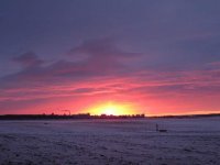 IMG_1012.JPG22222222.JPG