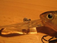 IMG_06151.jpg