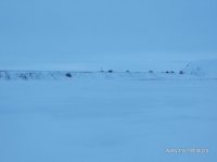 IMG_1449.JPG