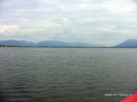 IMG_2572.jpg