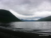IMG_2732.jpg