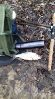 IMG-20180102-WA0001.jpg