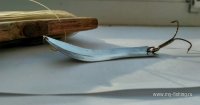 IMG_20180127_165238.jpg