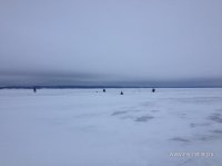 IMG_4271.JPG