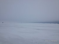 IMG_4276.JPG