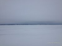 IMG_4277.JPG