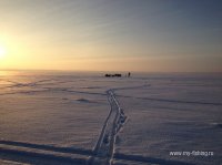 IMG_4303.JPG