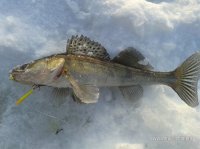 20180303_083636.jpg