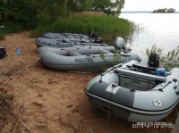 IMG_20180610_075044.jpg