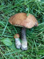 IMG-20180806-WA0012.jpg