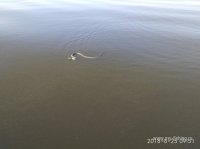 IMG_20180825_095127.jpg
