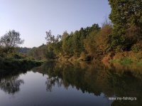 IMG_20180920_081900.jpg