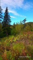 DSC_0183.JPG
