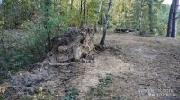 IMG_20180922_083607.jpg
