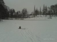 20181222_141439.jpg