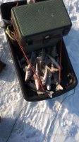 IMG-20181218-WA0000.jpeg