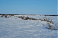 IMG_0762.JPG