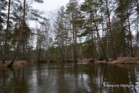 DSC_7019.JPG