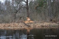 DSC_7036.JPG
