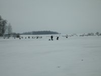 SDC10329.JPG