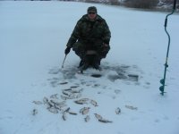 янв0309.JPG