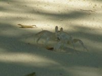 PICT0230.jpg
