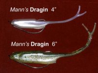 Mann's Dragin.jpg