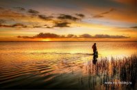 fisherman-3704345_960_720.jpg