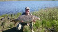 20190526-fish1.jpg
