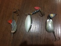 IMG_2662.JPG