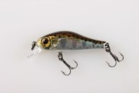 Zipbaits Rigge 35F.jpg