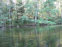 IMG_0394.JPG