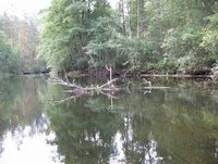 IMG_0416.JPG