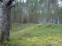 250820121731.jpg