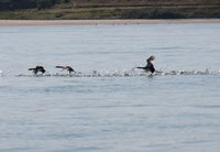 IMG_1715.JPG
