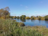 IMG_20190921_093137.jpg