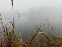 IMG_20190928_075151.jpg