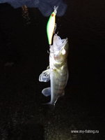 IMG_20200101_181436.jpg