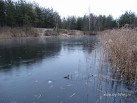 DSC04325_resize.JPG
