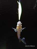 IMG_20200110_190019.jpg