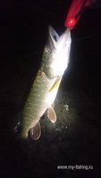 DSC_4482.JPG
