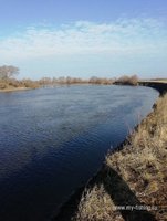 IMG_20200309_094845.jpg