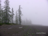 IMG_3465_1.jpg