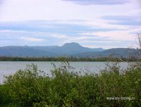 IMG_3500_1.jpg