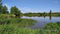 IMG_20200606_092127.jpg
