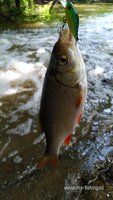IMG_20200624_101321.jpg