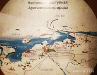 IMG_20200726_162405.jpg